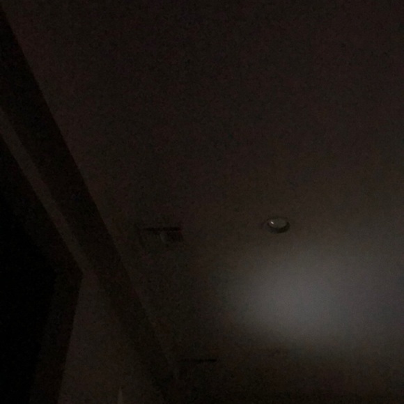 Meet your Posher, Liam - Picture 1 of 1